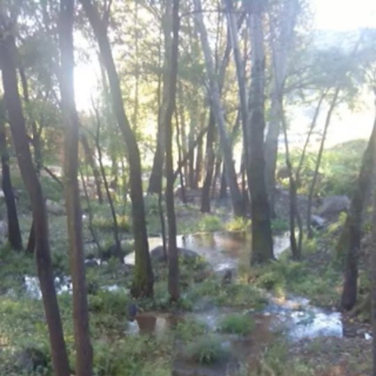 巧克力慕斯蛋糕