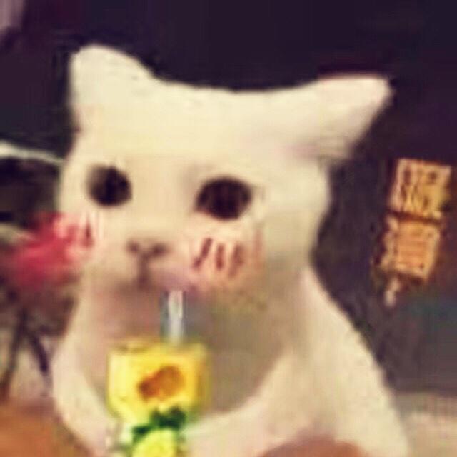 燃晚靖苏一生推