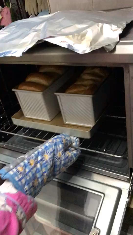 椰蓉手撕吐司
