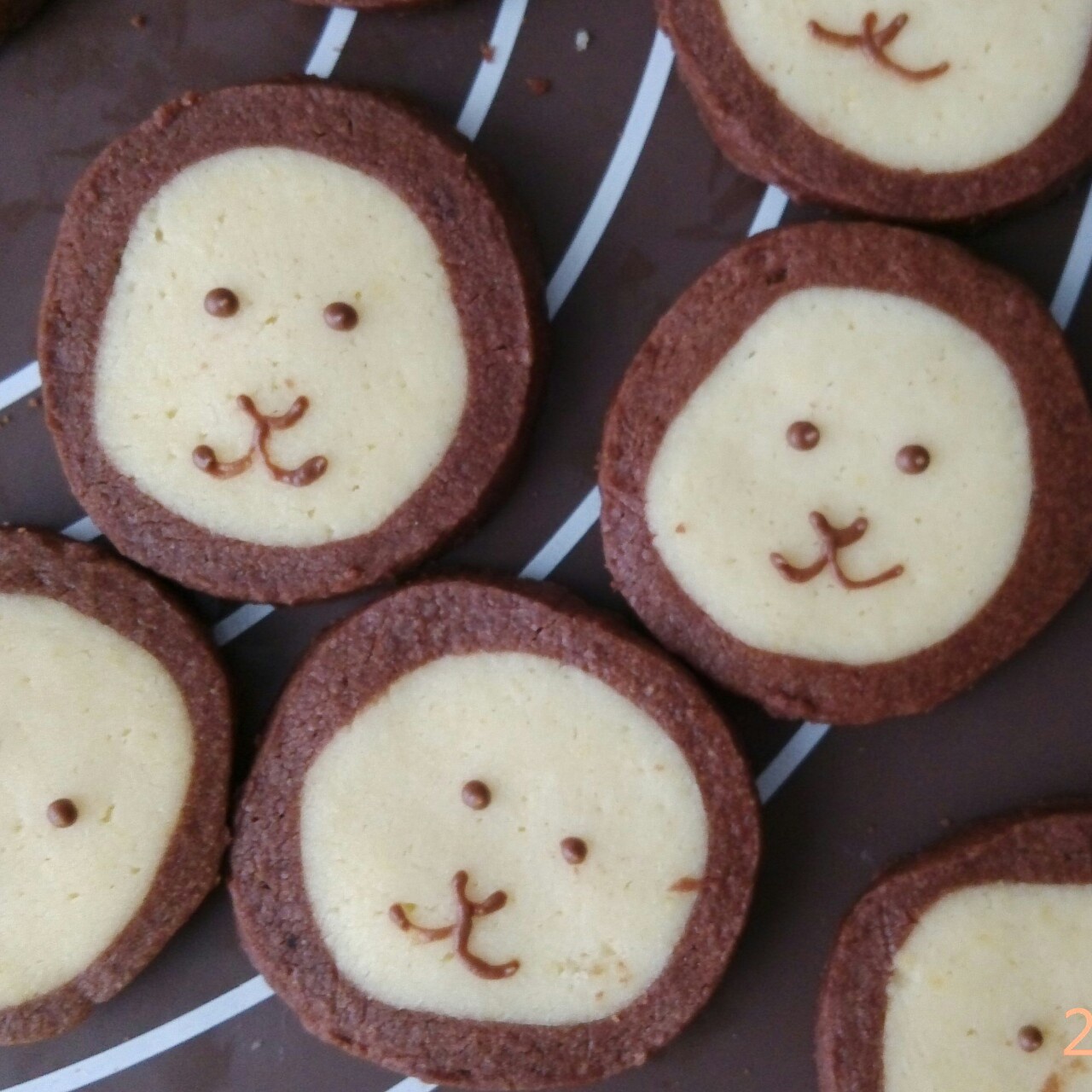 萌哭了的可可狮子饼干