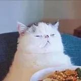 王二已经被注册