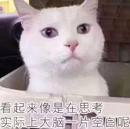 悠若晨曦的厨房