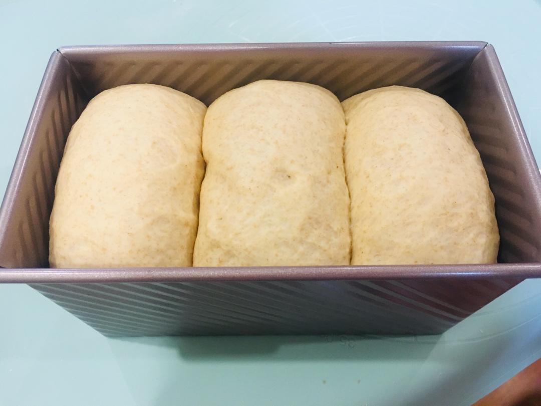 全家都爱吃的健康全麦吐司，新手也能做