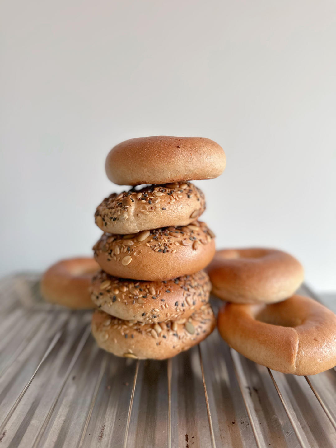 贝果（波兰种）