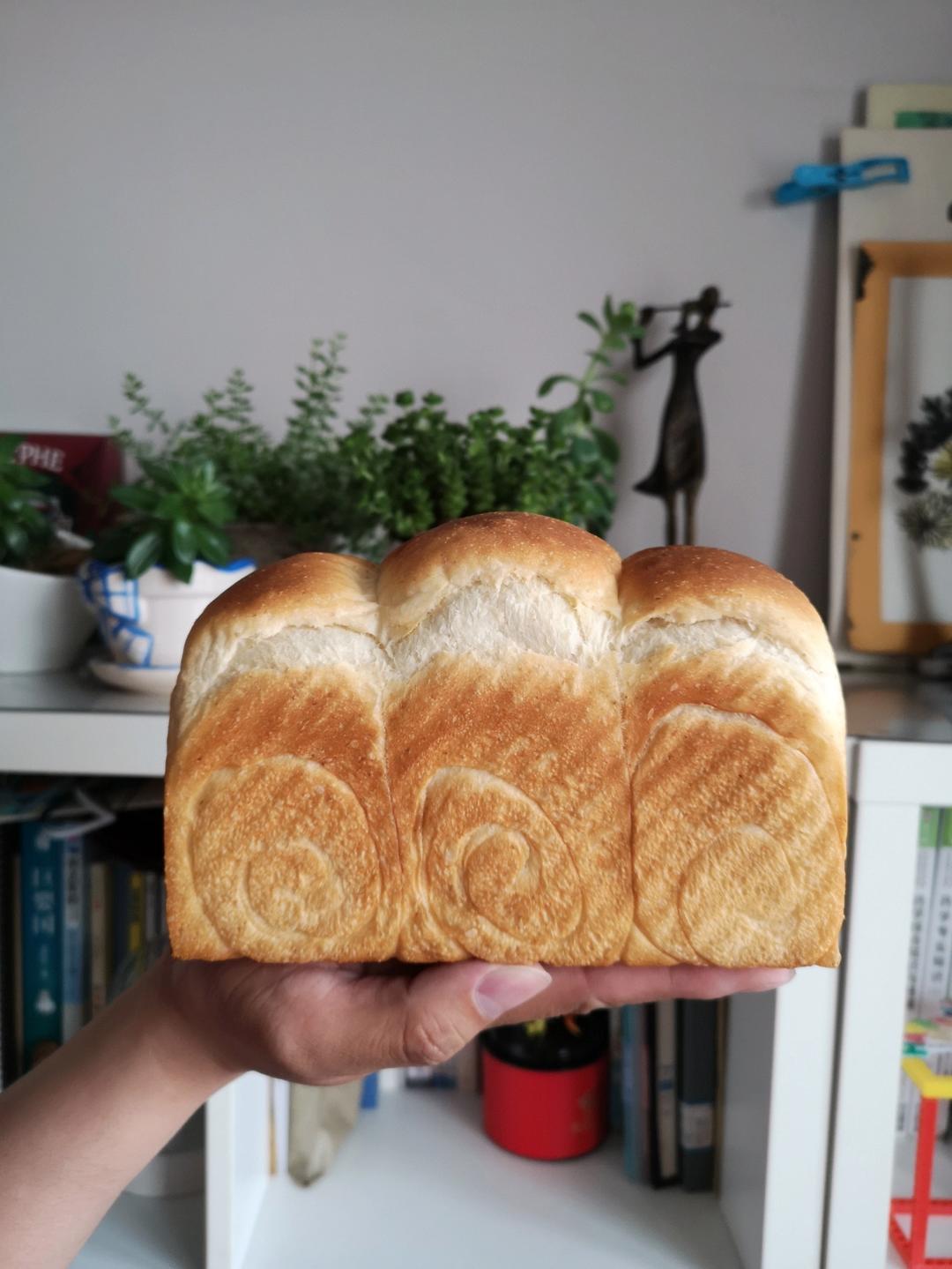 波兰种全麦吐司