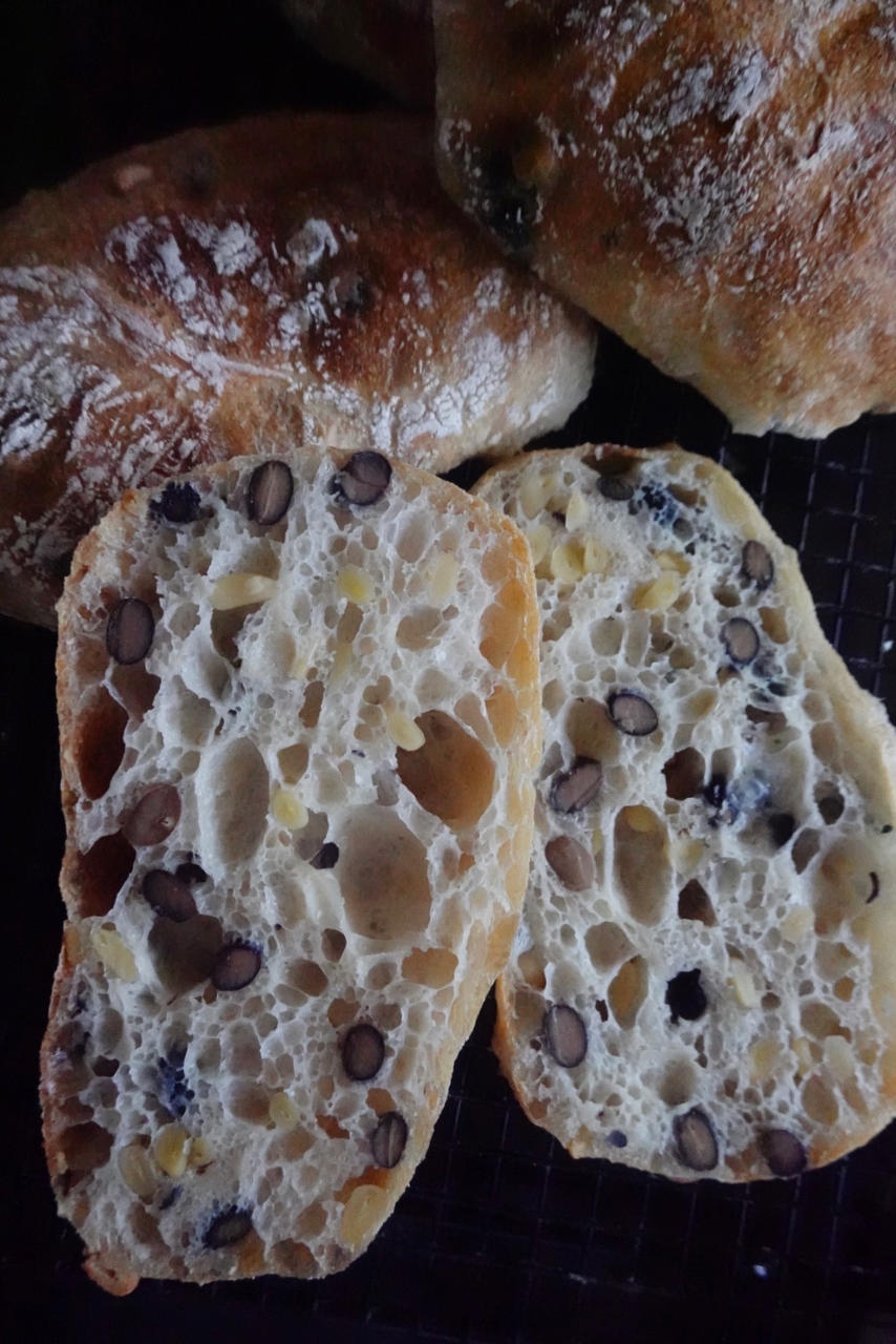 鲁邦种冷藏隔夜法恰巴塔Ciabatta（练习记录）