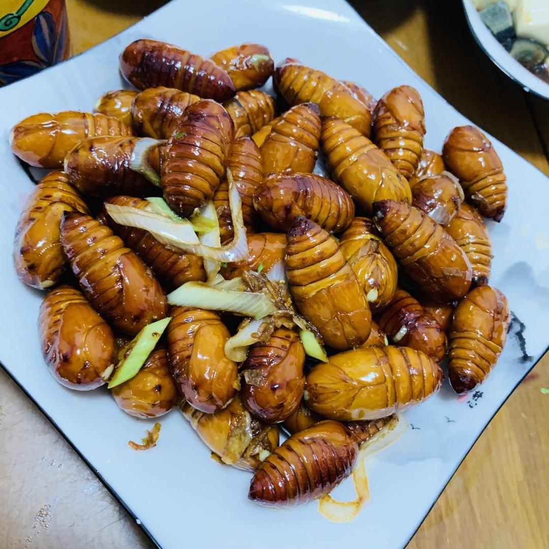 家常炒茧蛹