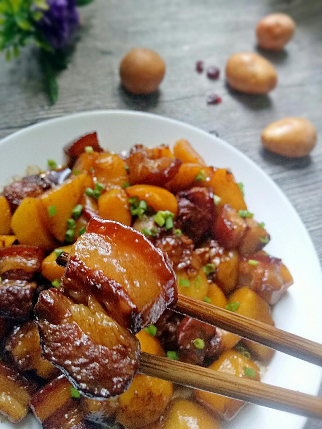 妈妈牌土豆炖红烧肉