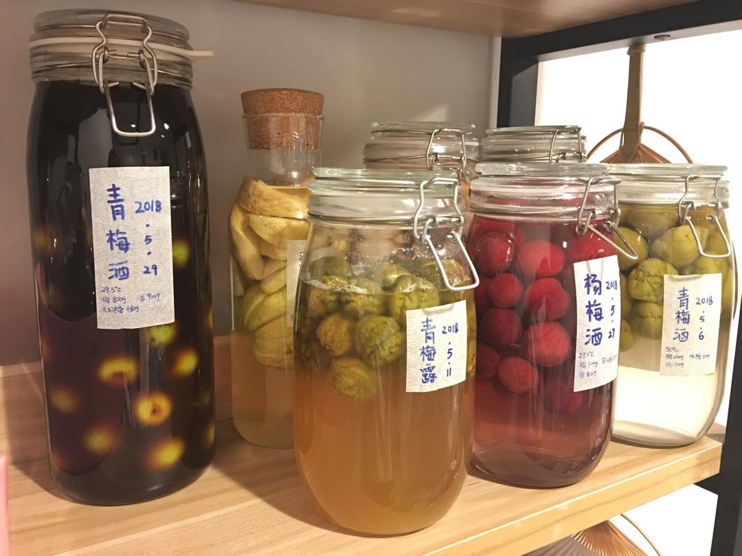 【青梅酒】梅子的沉醉时光（已填坑）