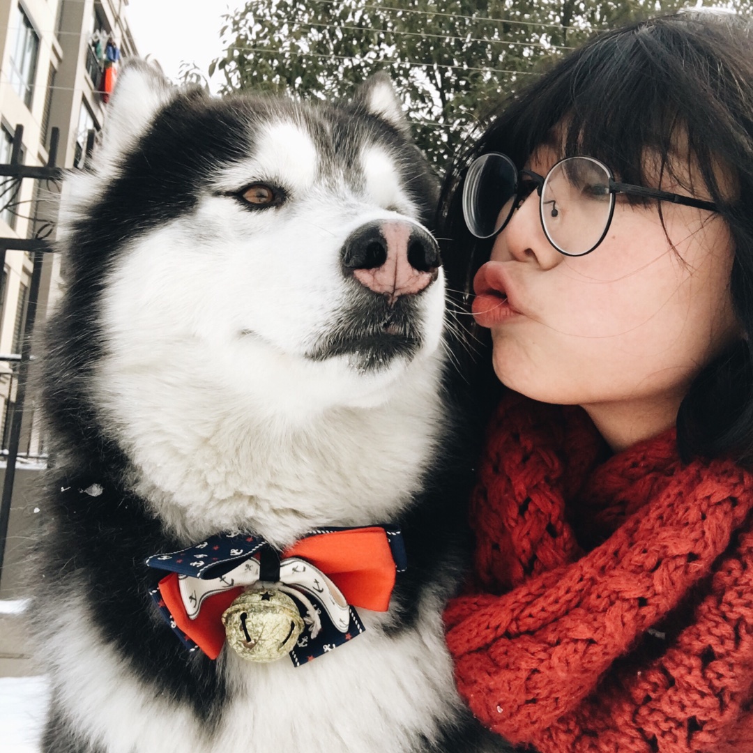 暴萌的小钢牙