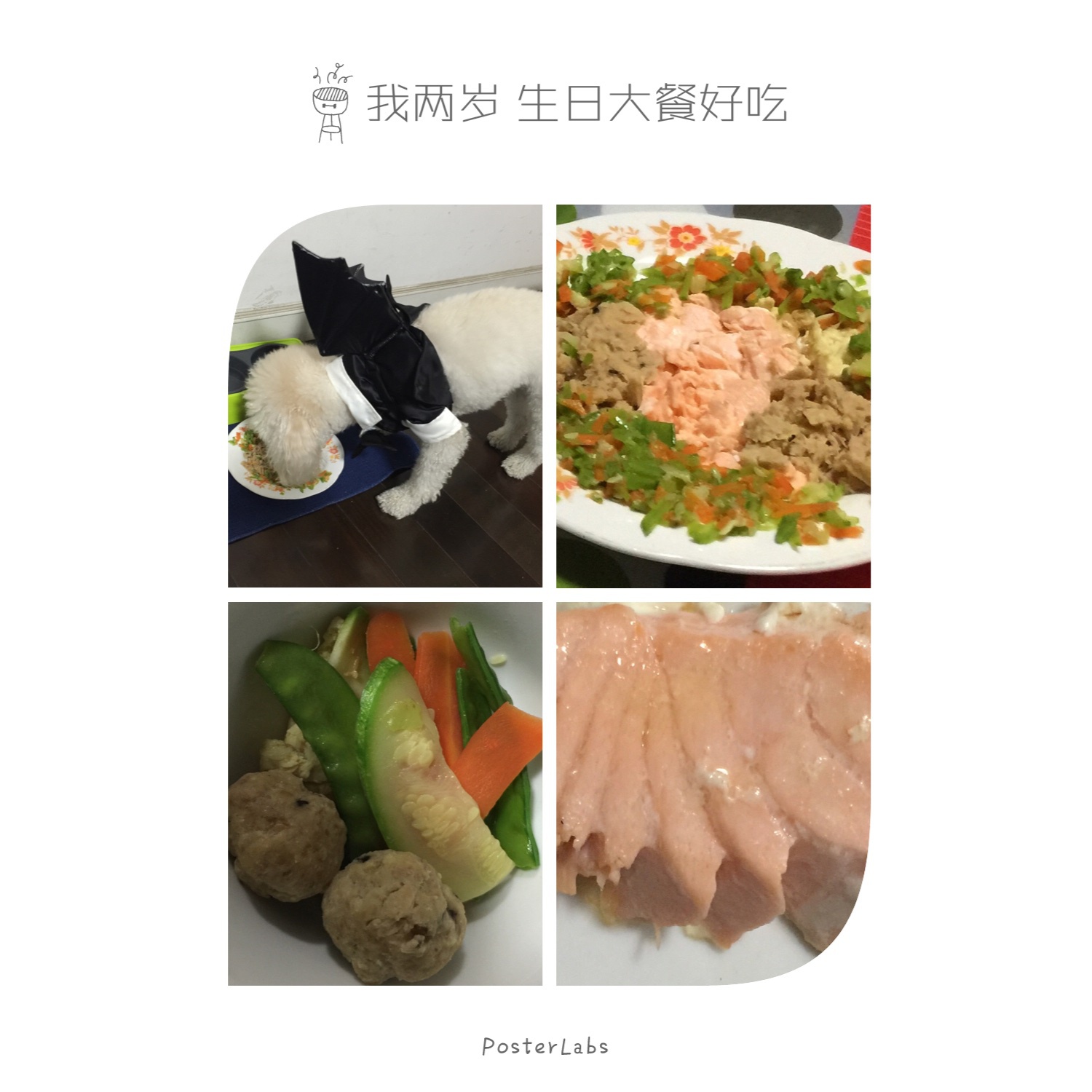 跳跳两岁生日狗粮餐