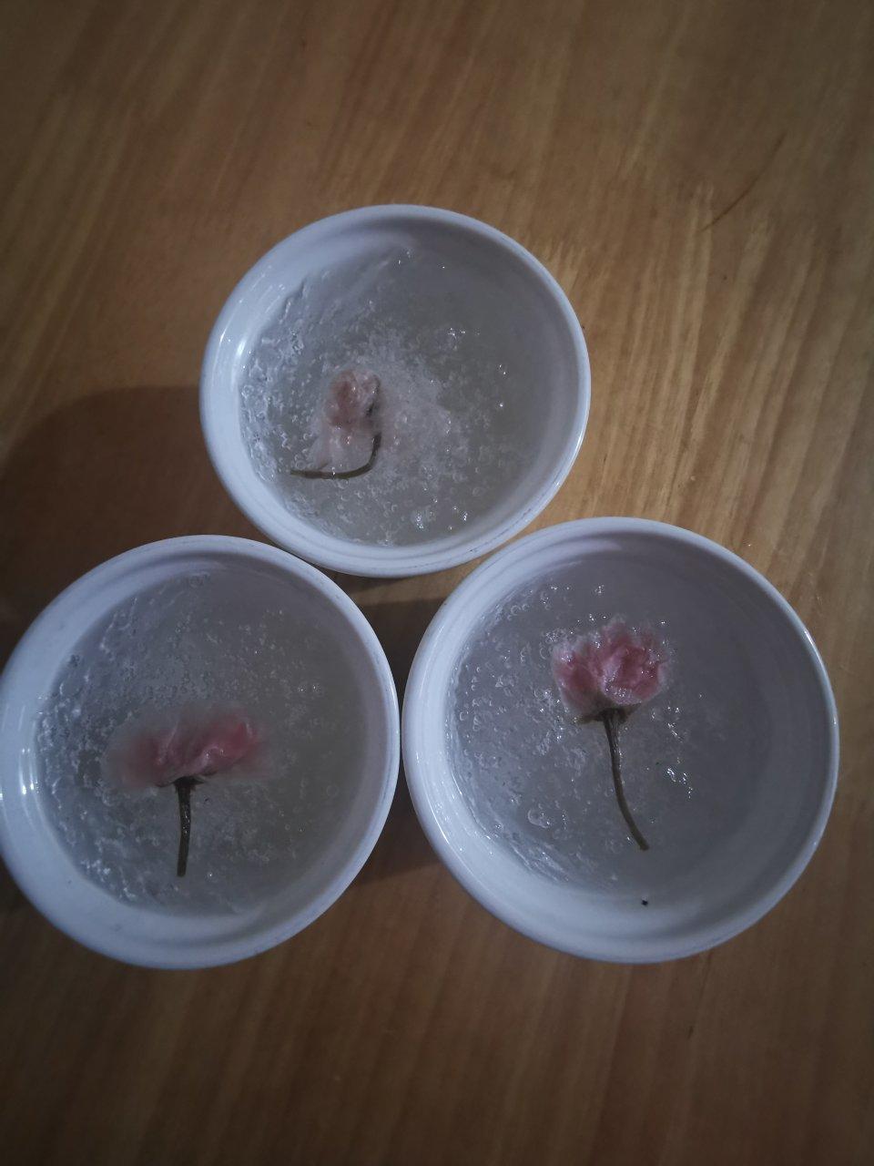 樱花冰糖燕窝