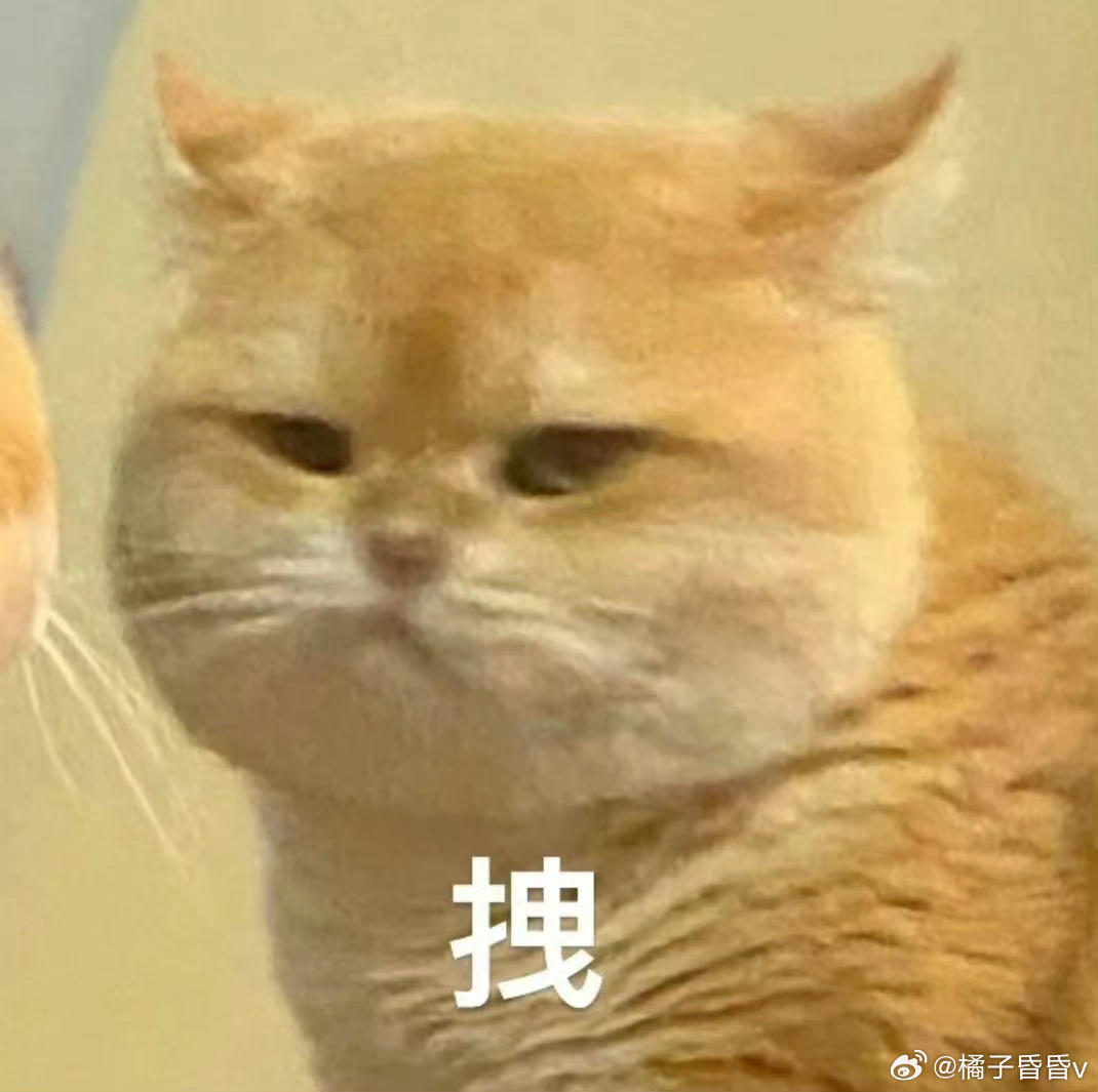 裙带菜鸡蛋豆腐虾仁汤