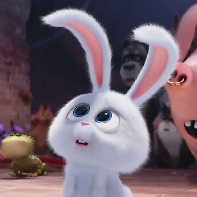 谁还没点小肚几