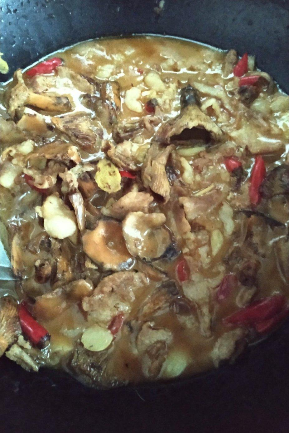 富硒枞树菌炖肉片（超级鲜美）