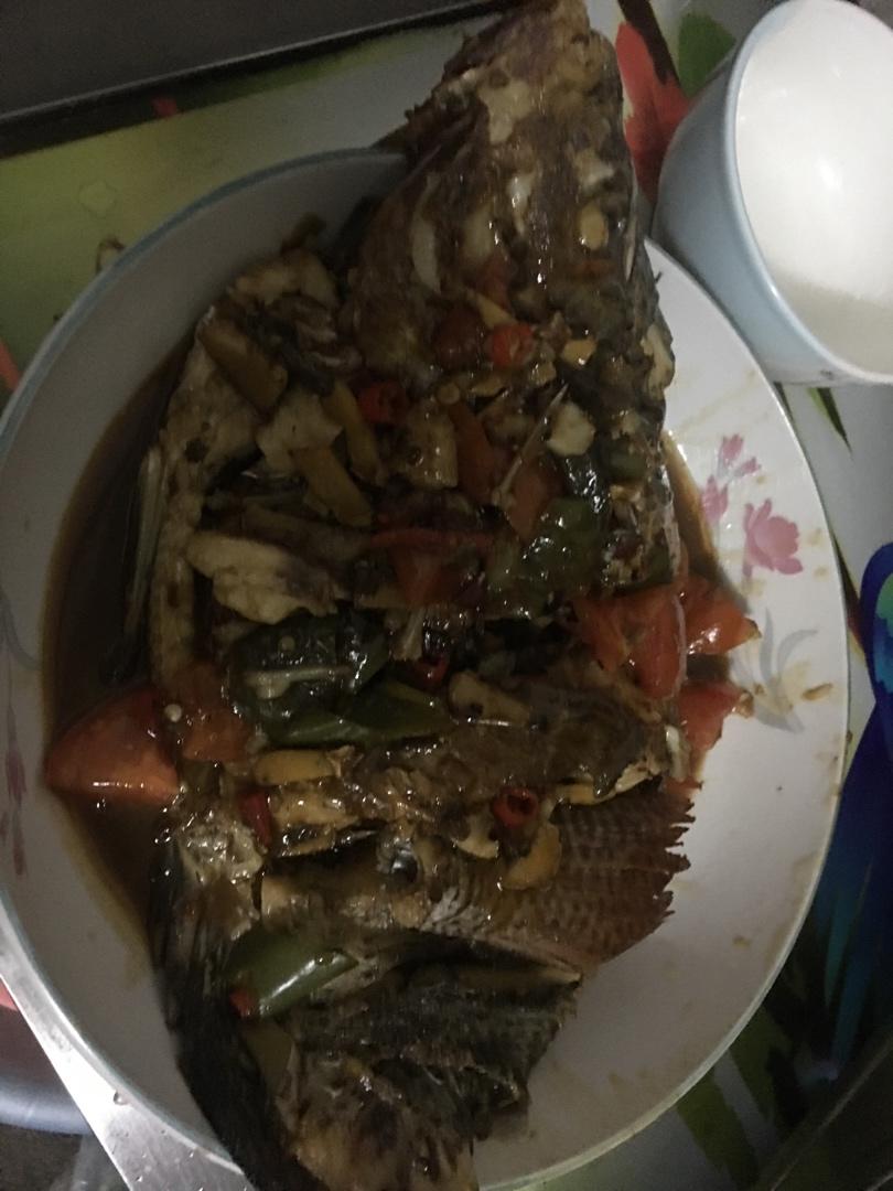 啤酒鱼