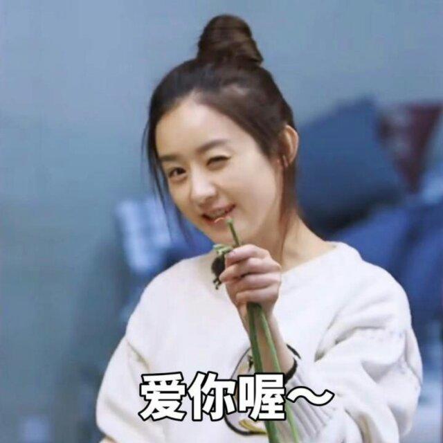 豪子在这儿