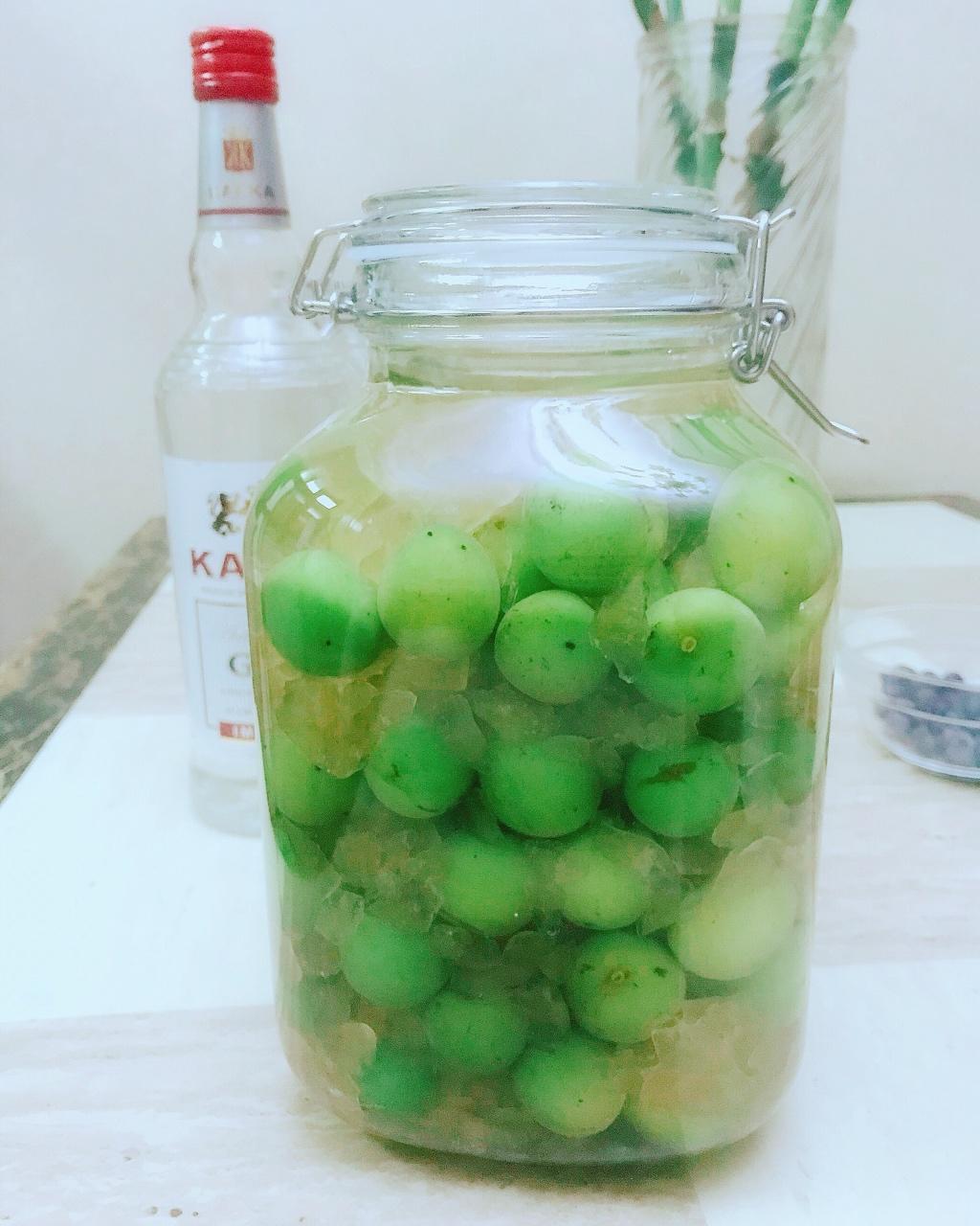 青梅酒（优的春日私酿第二話）