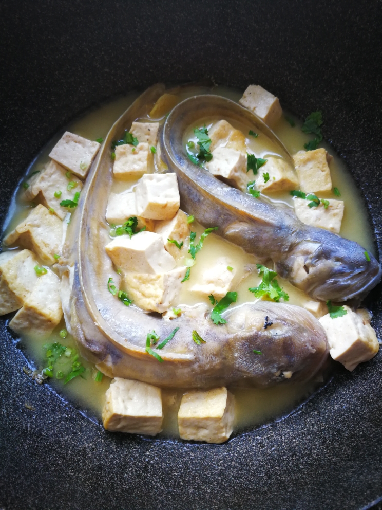 海鲶鱼炖豆腐的做法