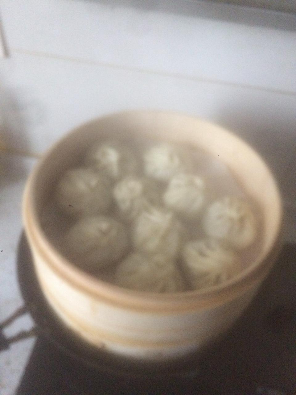 猪肉包子（附视频。一次性发酵。）