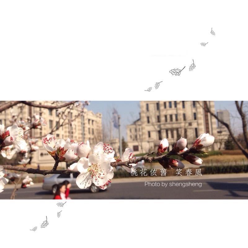 一花一世界