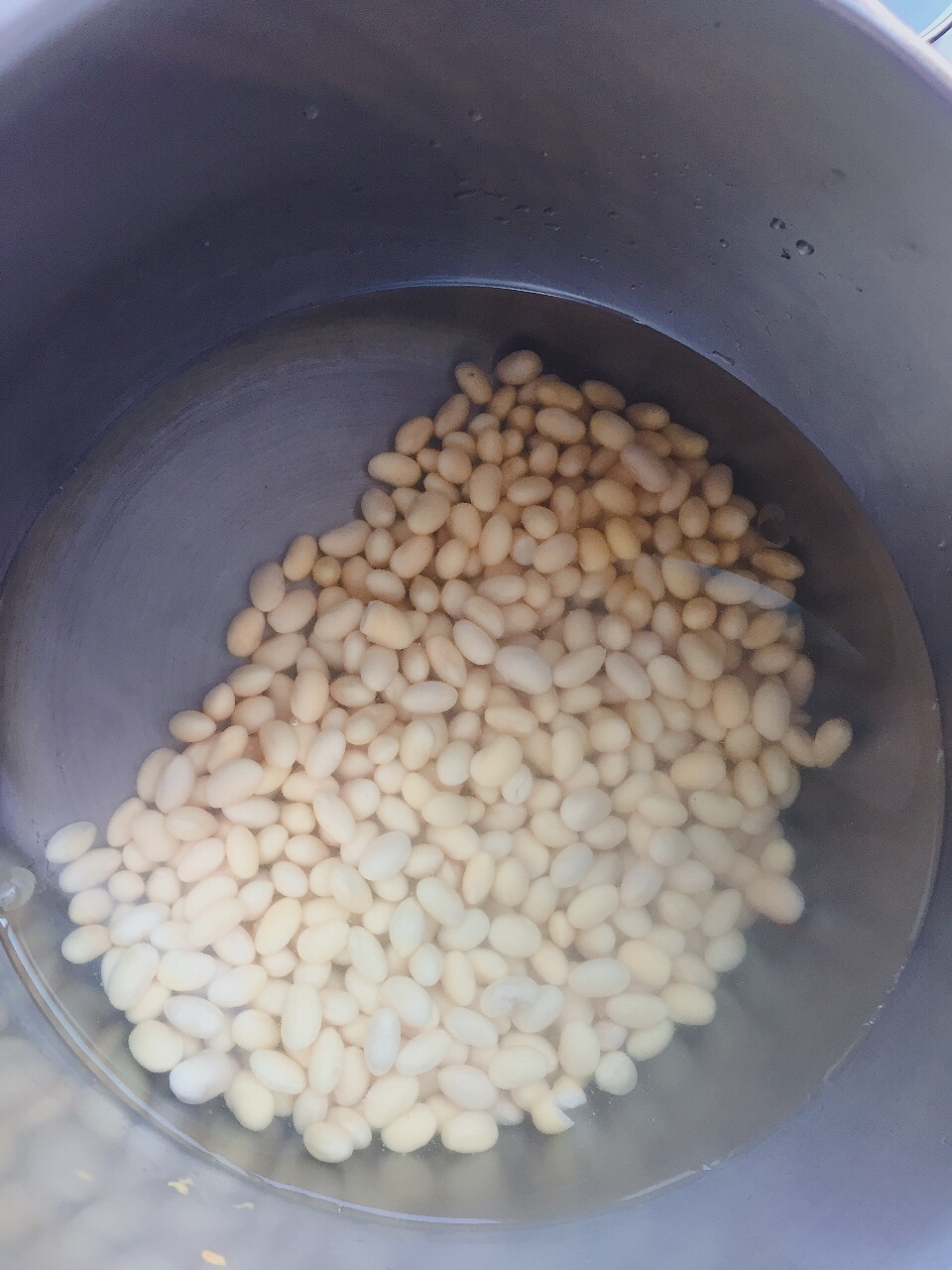 现磨豆浆（普通榨汁机款）的做法 步骤3
