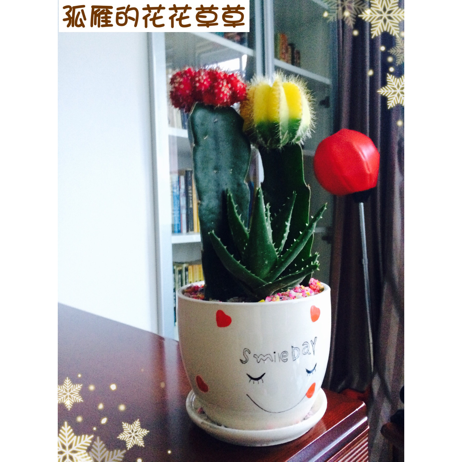 花，一辈子爱上你