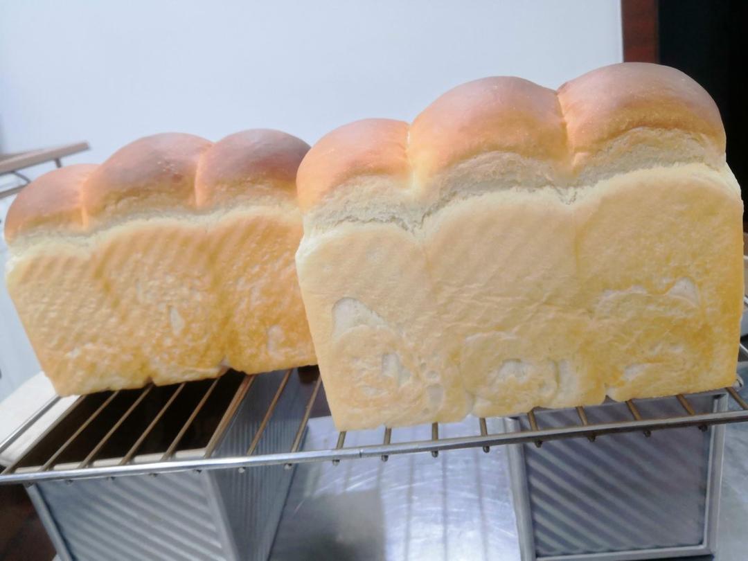 软到站立不了的吐司