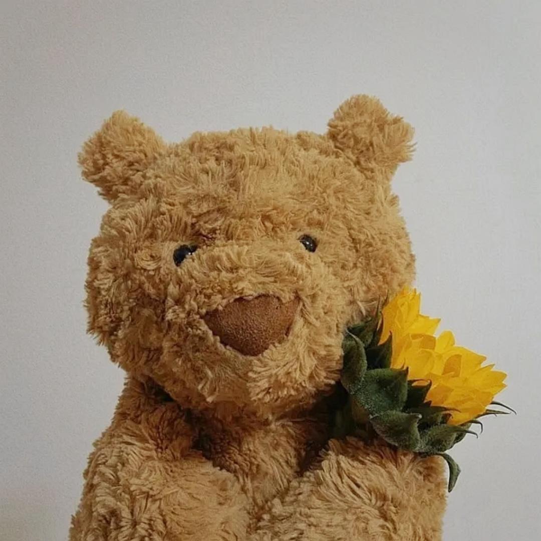 卡珊德拉女士