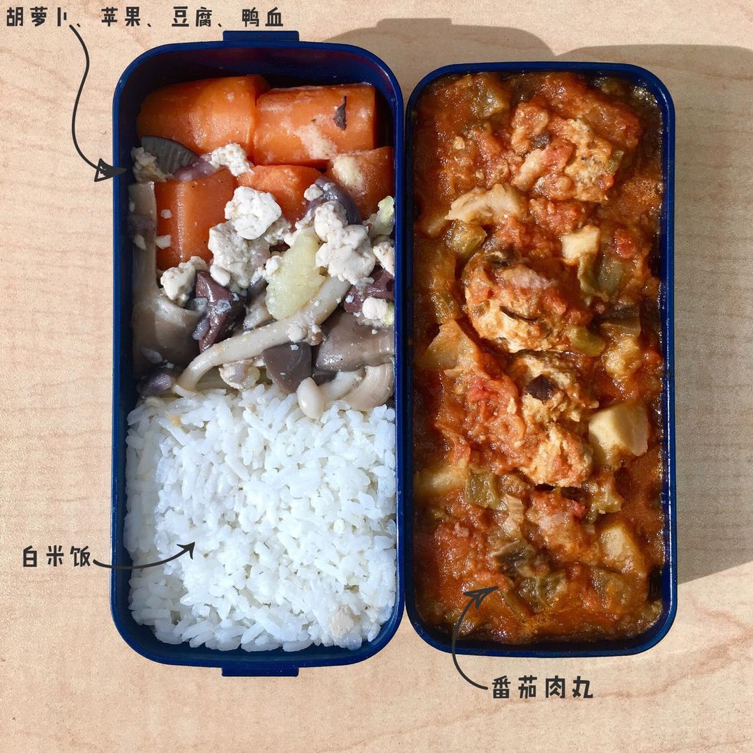 减脂控食量便当🍱打卡营