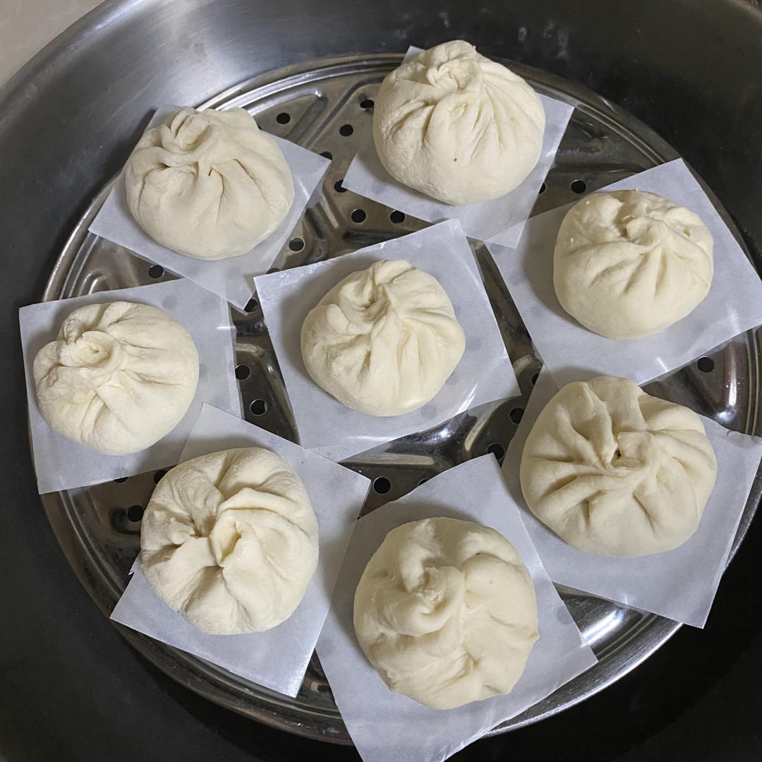 一次发酵肉包子