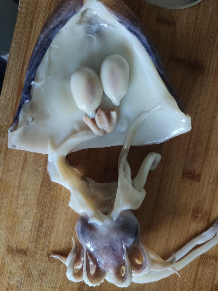 把内脏和身体分开背部划一刀,把墨鱼鞘取出来.