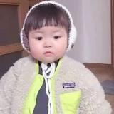 爱吃鱼的小童鞋