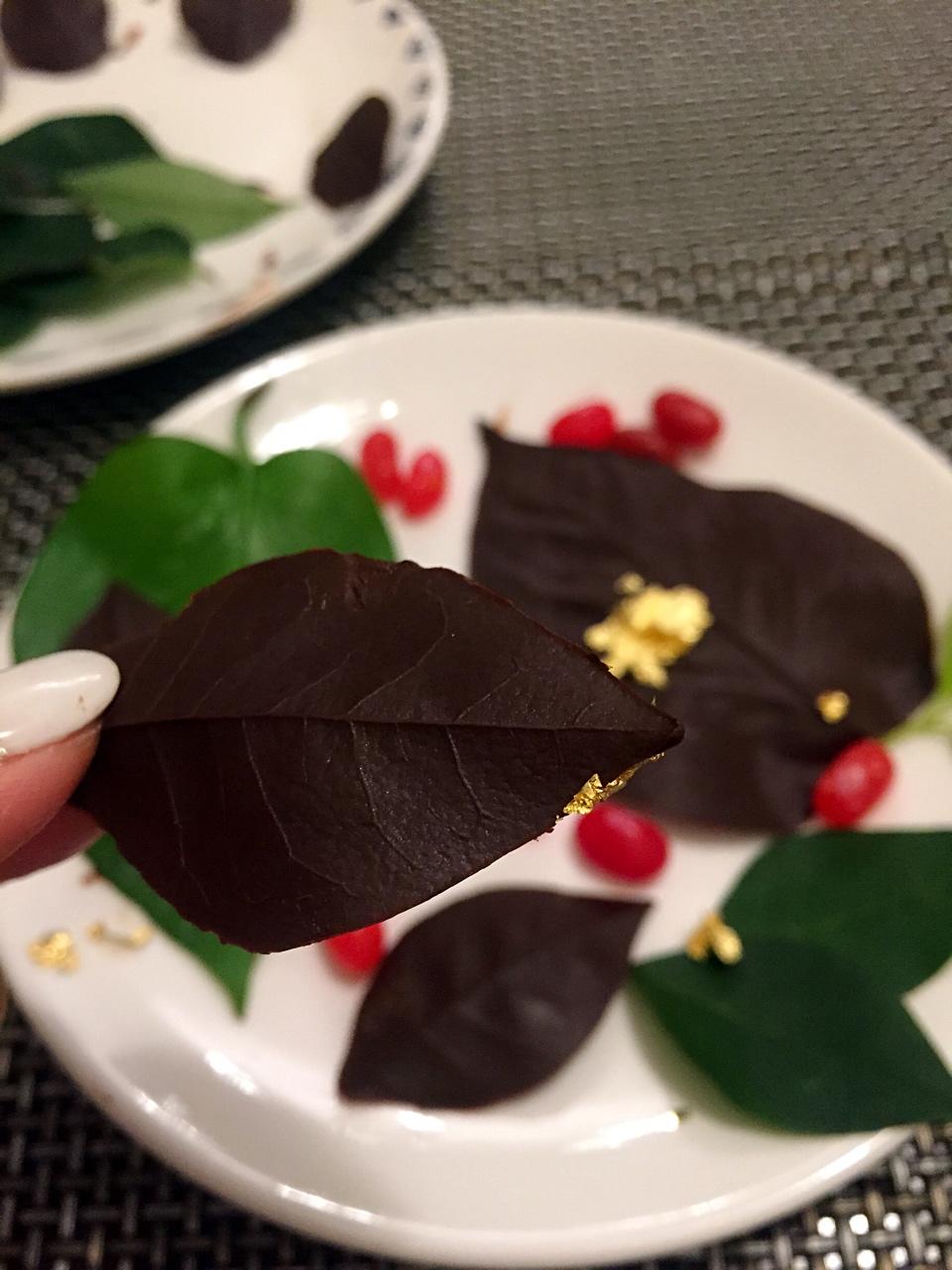 巧克力树叶