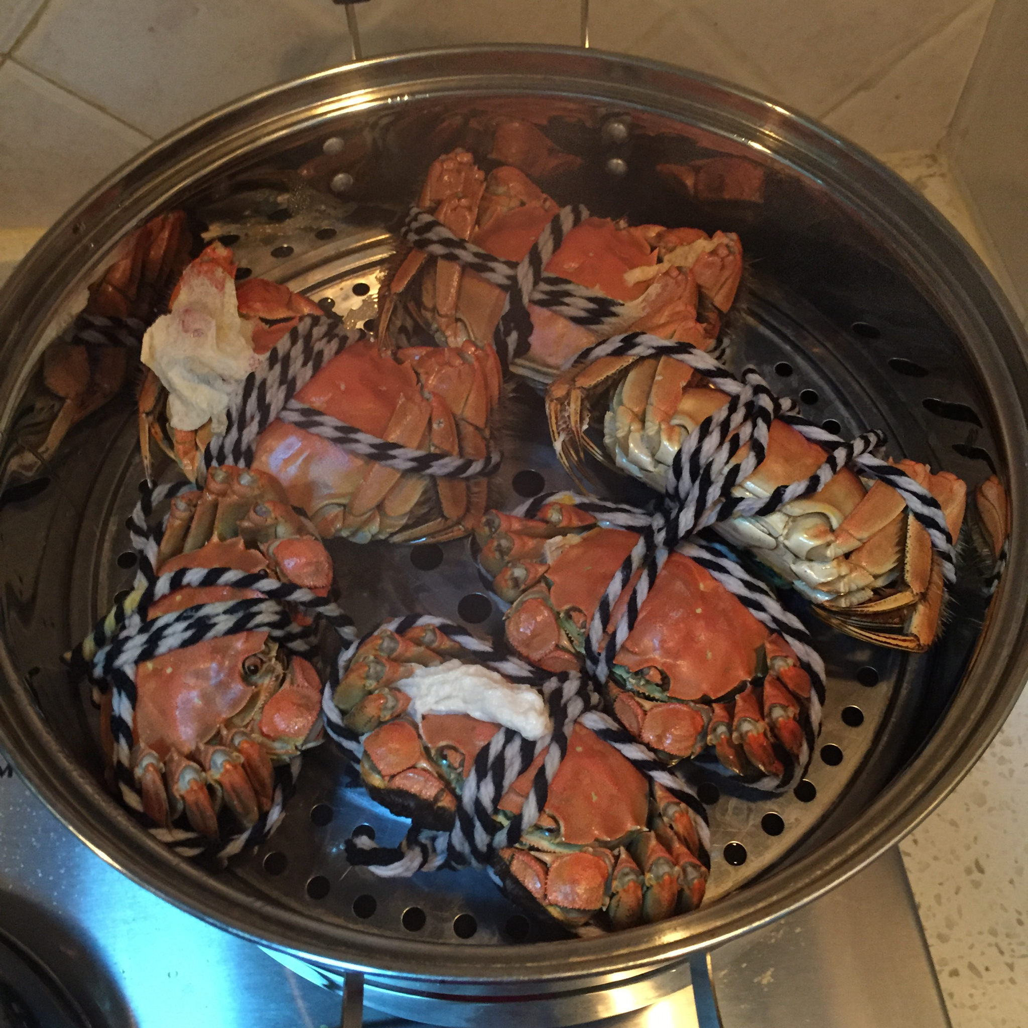 走走停停绿藤萝做的蒸螃蟹