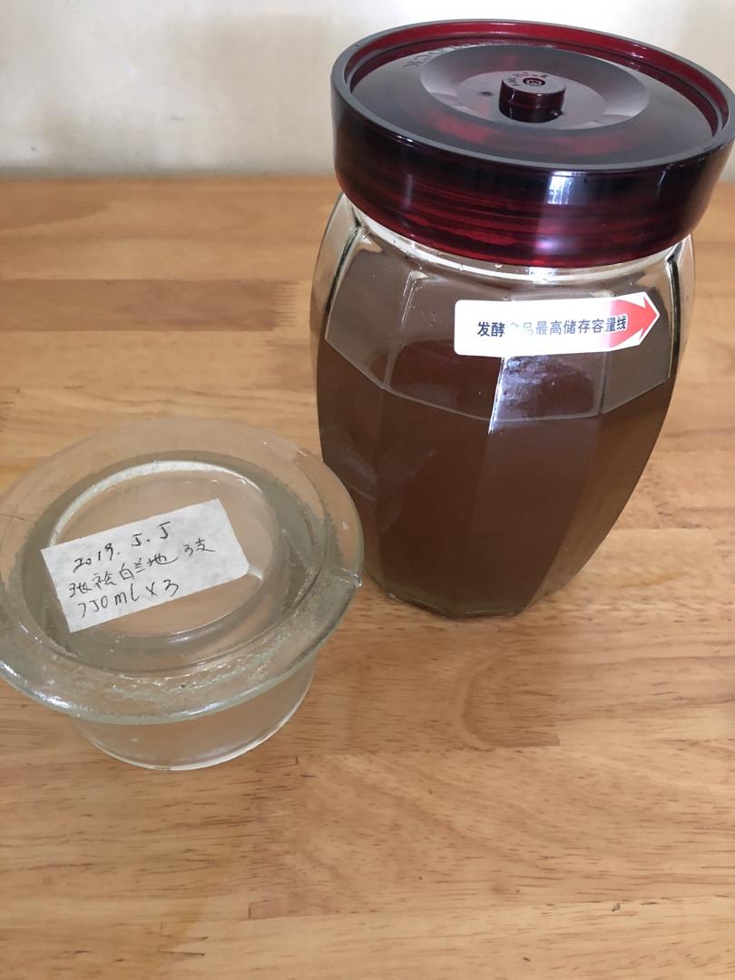 【青梅酒】梅子的沉醉时光（已填坑）