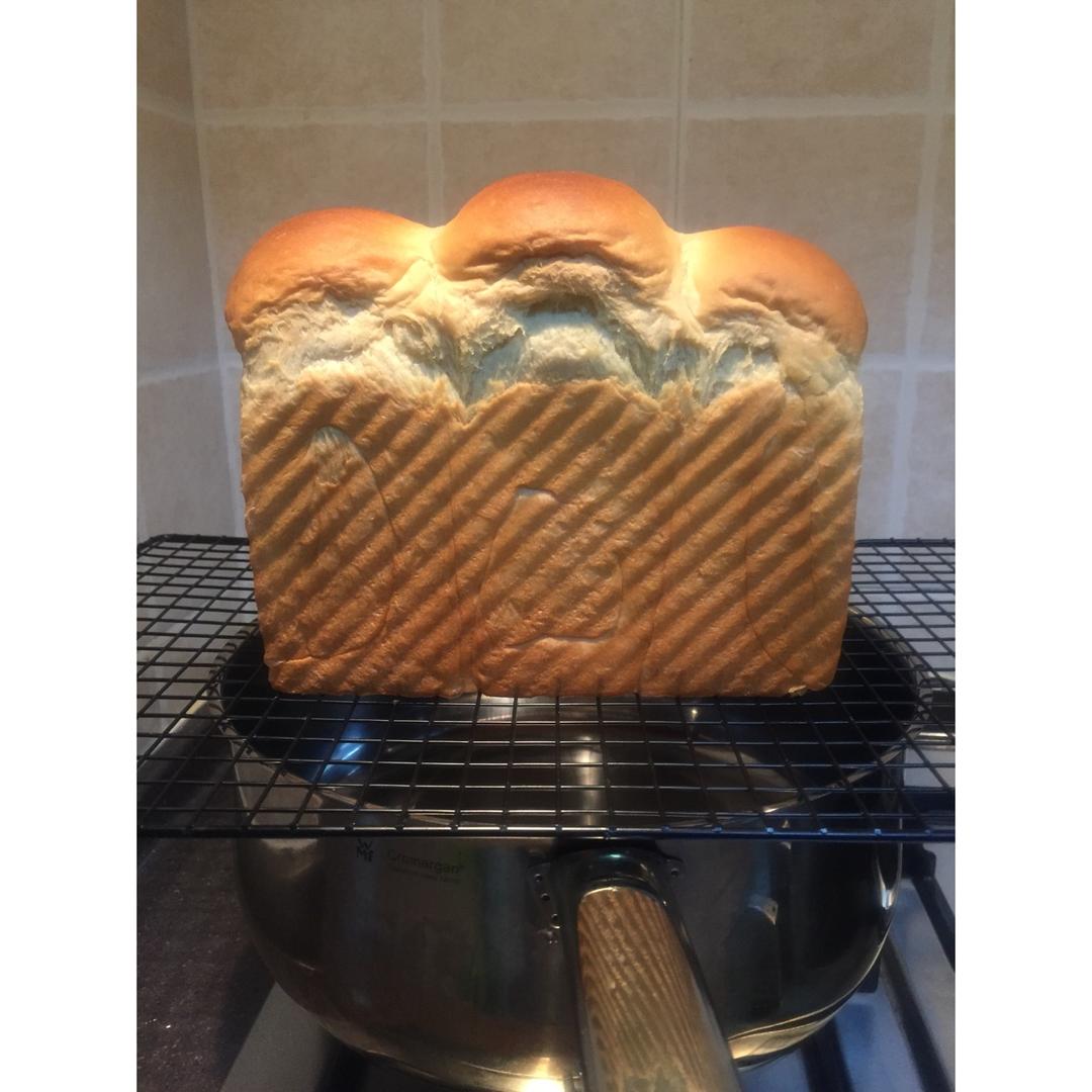 波兰种北海道吐司