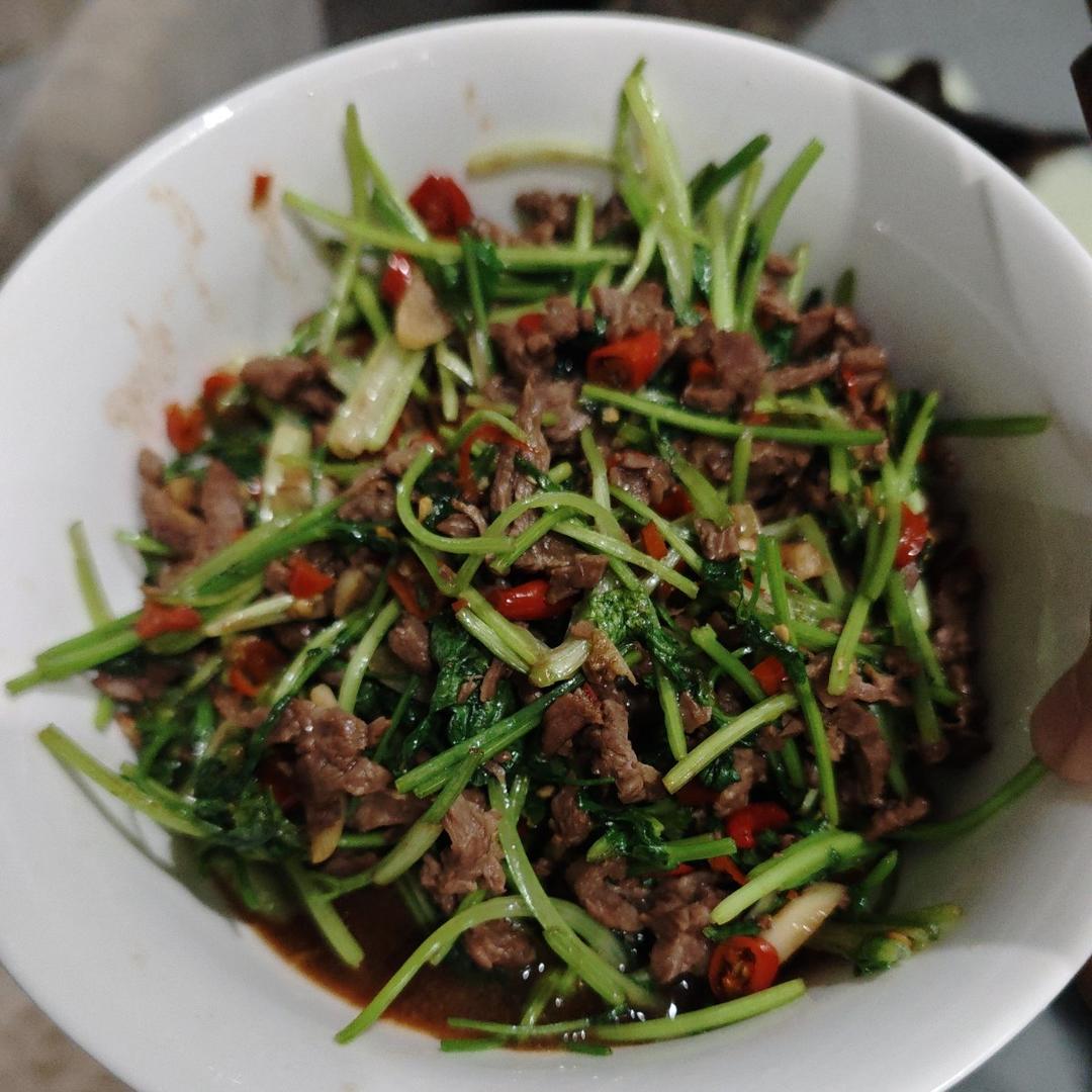 香菜炒牛肉，香辣下饭，爱吃香菜的朋友看过来，拌饭绝了