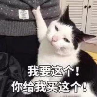 乖乖臭