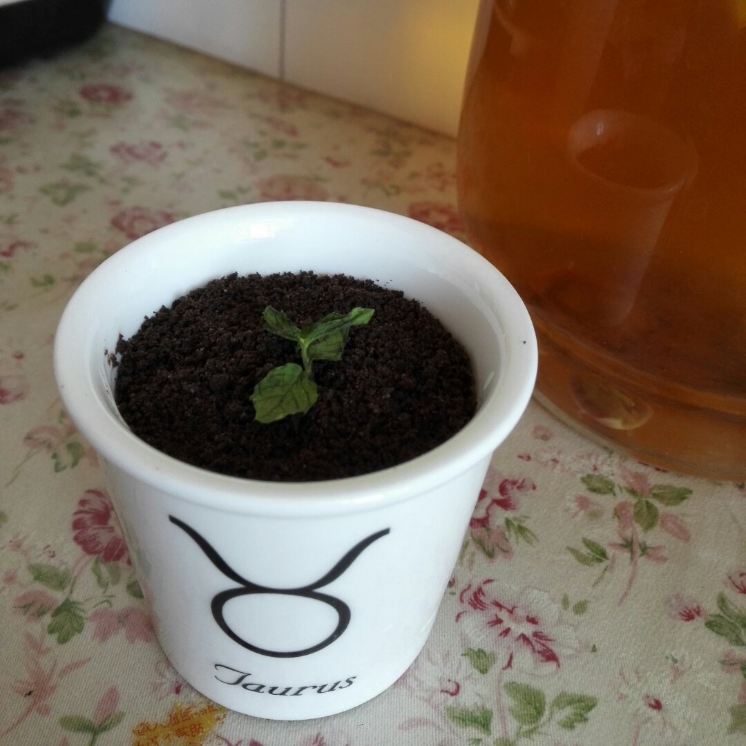 酸奶奥利奥水果盆栽