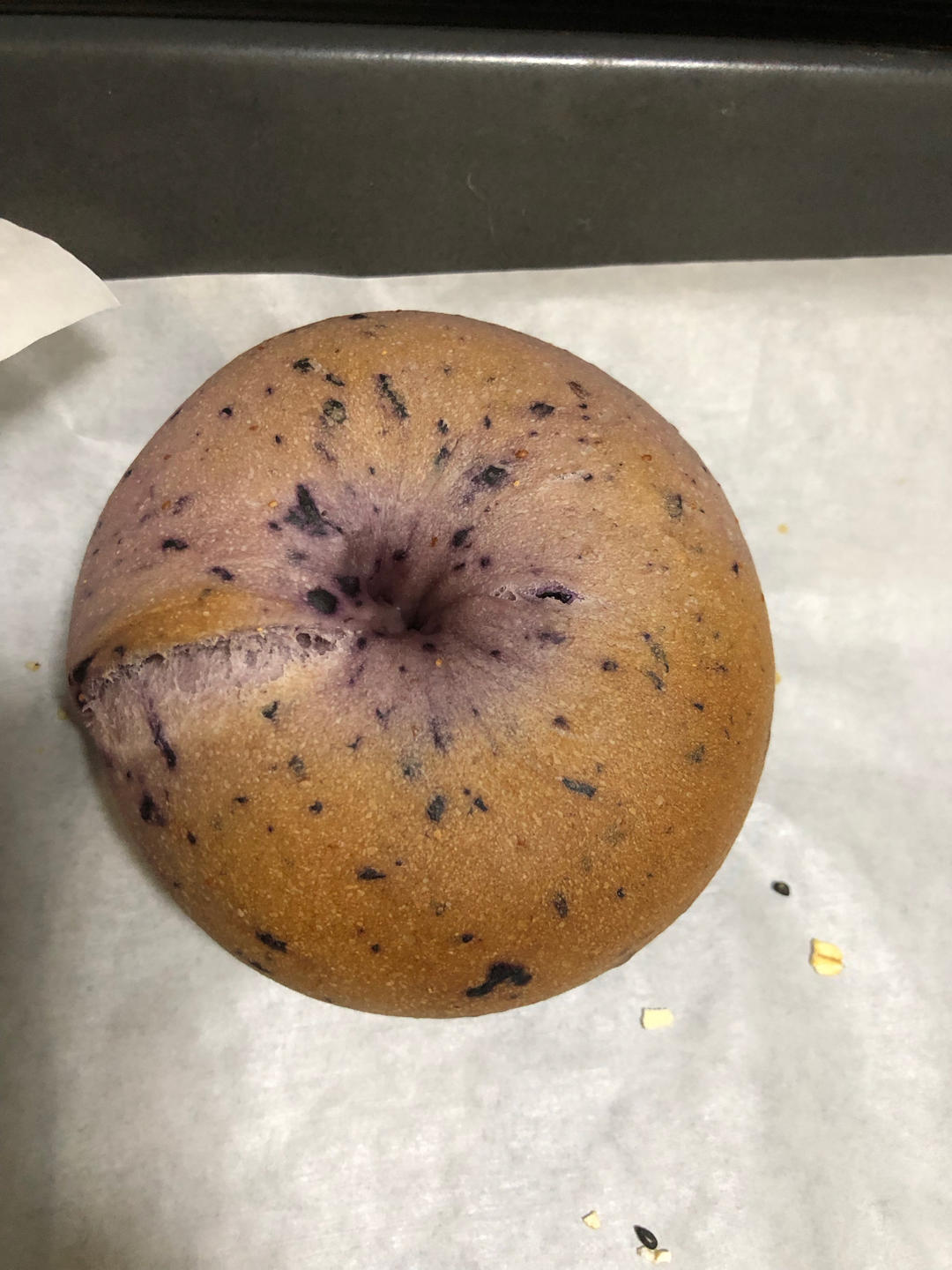 蓝莓🫐乳酪贝果🥯/步骤详细/简单好做