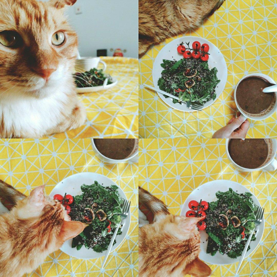 5对2轻断食记录