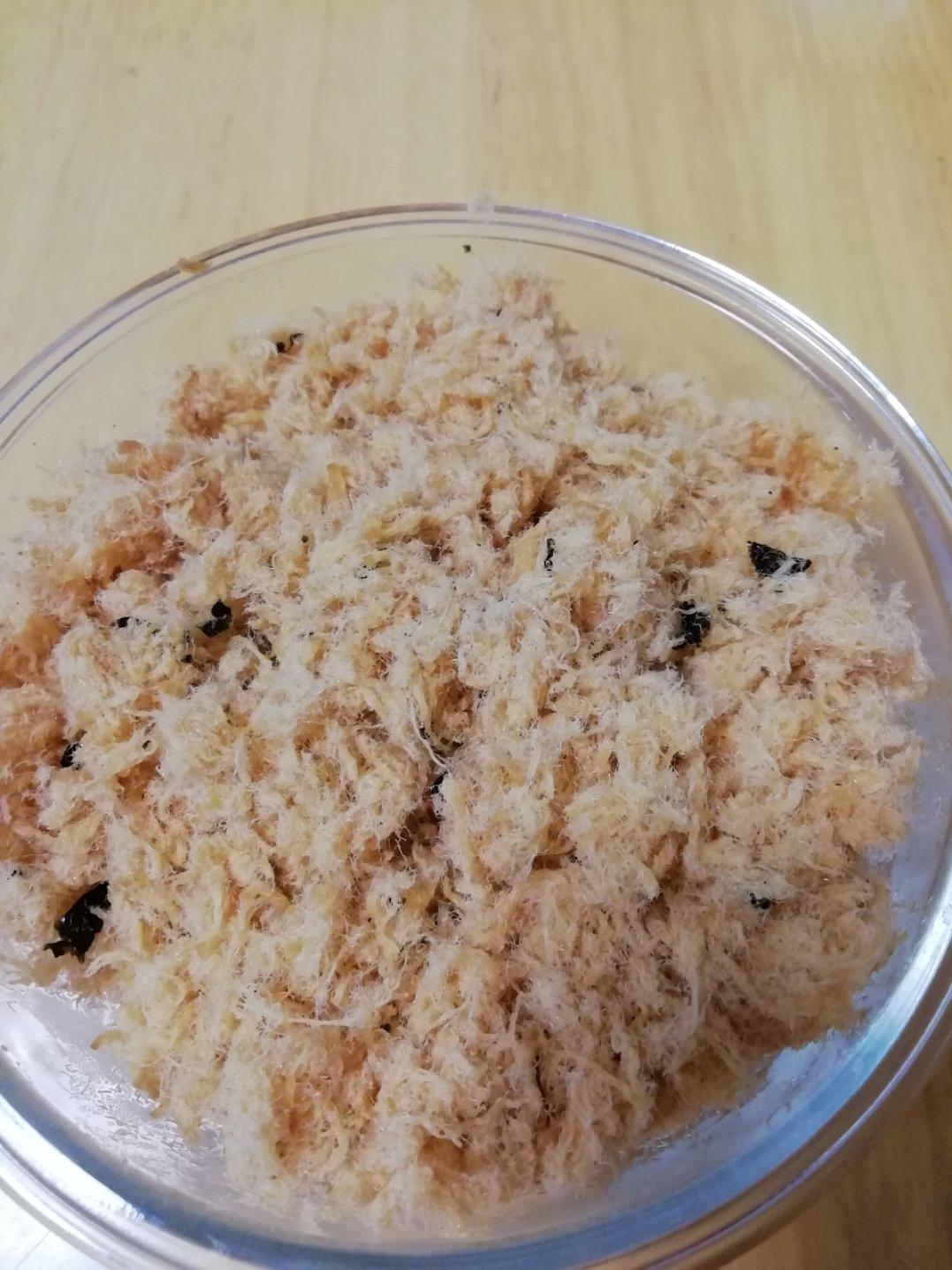 自制肉松(面包机版)