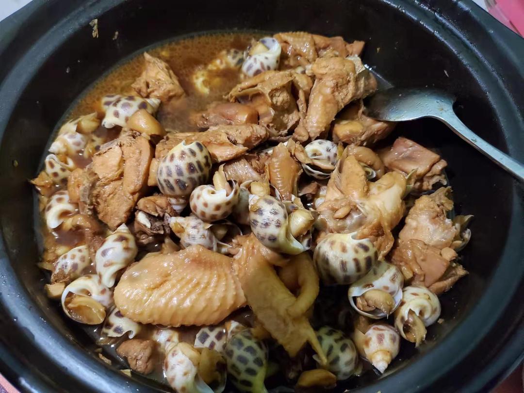 花螺焖鸡（零技术含量，沙姜是灵魂）