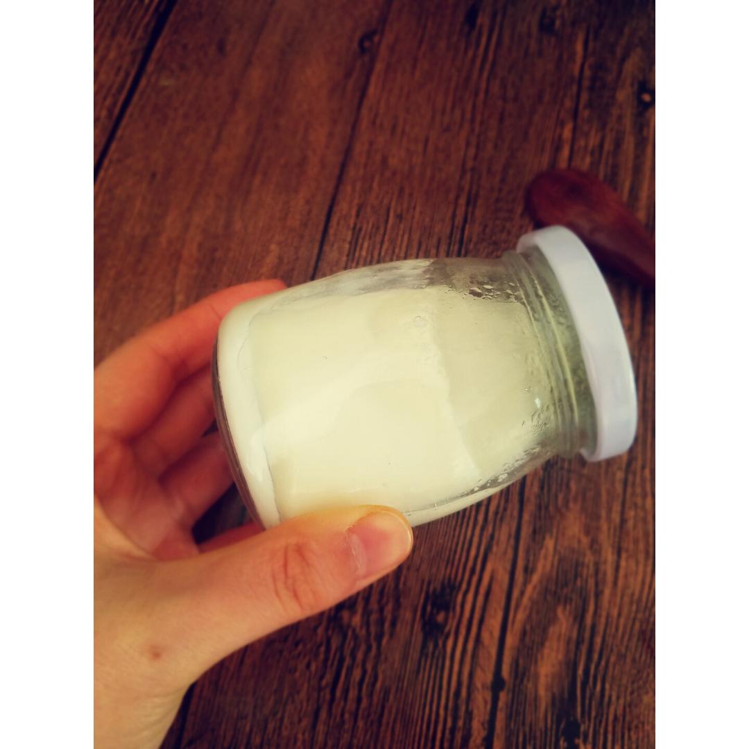 电饭锅版自制酸奶