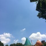 林糊糊记录生活