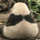 发发不是路西法