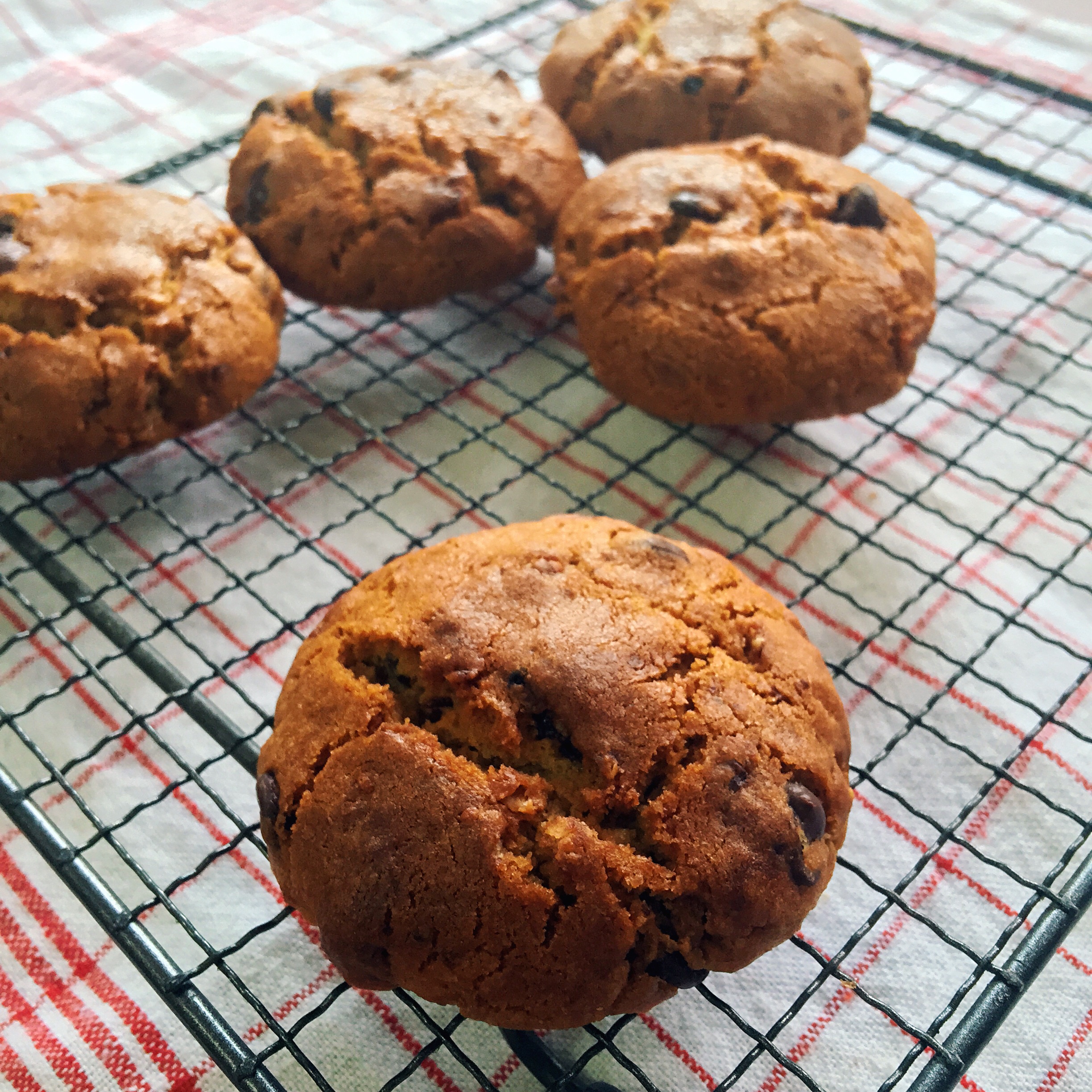 优雅烘焙第36集:不可抵挡的诱惑-巧克力饼干(手工版)视频及具体操作流程