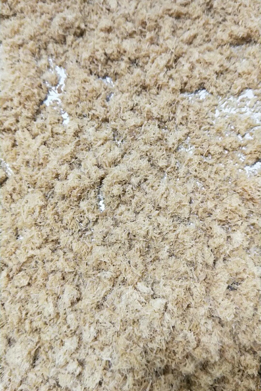 自制原味肉松