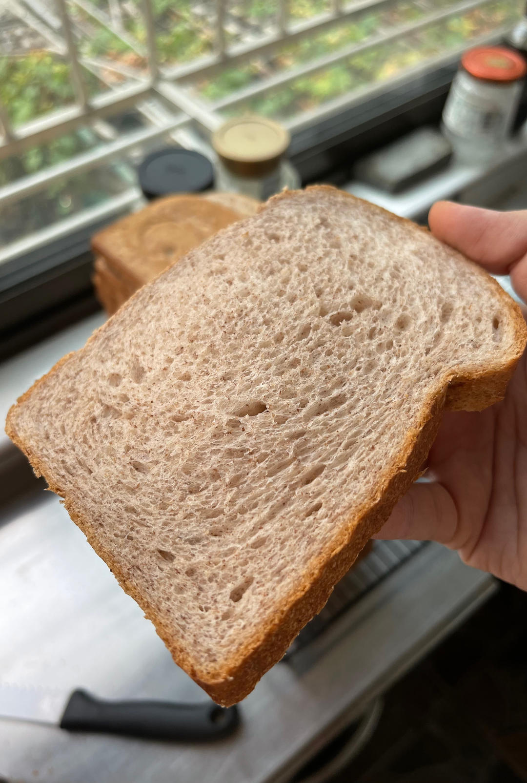 波兰种全麦吐司